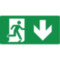 Pictogram Emergency exit downstairs
